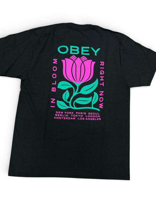 Obey T-Shirt