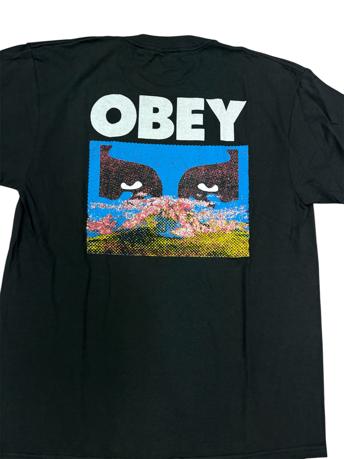 Obey T-Shirt